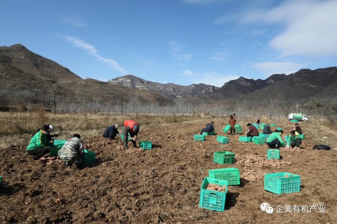 沙巴官网入口(正版)在线APP下载ios/安卓通用版/手机app